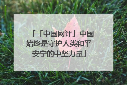 「中国网评」中国始终是守护人类和平安宁的中坚力量