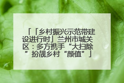 「乡村振兴示范带建设进行时」兰州市城关区：多方携手“大扫除”扮靓乡村“颜值”