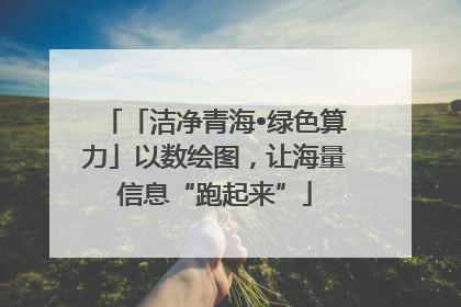 「洁净青海•绿色算力」以数绘图，让海量信息“跑起来”