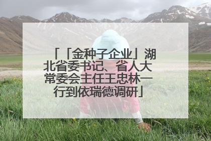「金种子企业」湖北省委书记、省人大常委会主任王忠林一行到依瑞德调研