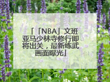 「NBA」文班亚马少林寺修行即将出关，最新练武画面曝光