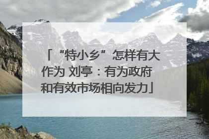 “特小乡”怎样有大作为 刘亭：有为政府和有效市场相向发力