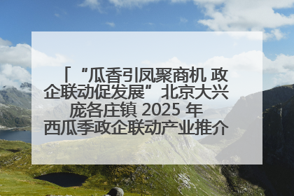 “瓜香引凤聚商机 政企联动促发展”北京大兴庞各庄镇 2025 年西瓜季政企联动产业推介活动圆满举行