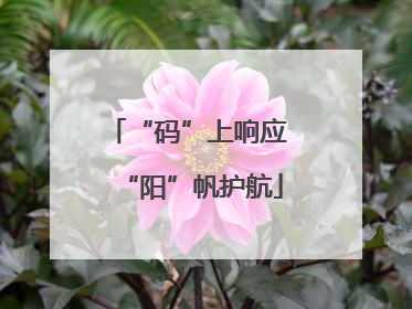 “码”上响应 “阳”帆护航
