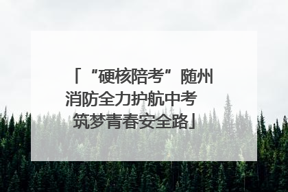 “硬核陪考”随州消防全力护航中考 筑梦青春安全路