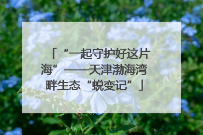 “一起守护好这片海”——天津渤海湾畔生态“蜕变记”