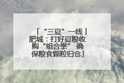 “三夏”一线丨肥城：打好夏粮收购“组合拳” 确保粮食颗粒归仓