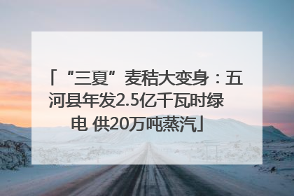 “三夏”麦秸大变身：五河县年发2.5亿千瓦时绿电 供20万吨蒸汽