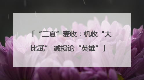 “三夏”麦收：机收“大比武” 减损论“英雄”