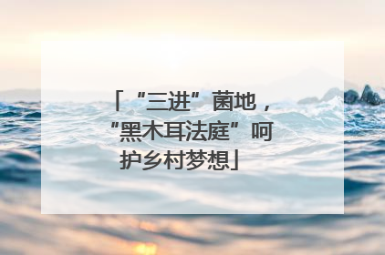 “三进”菌地，“黑木耳法庭”呵护乡村梦想