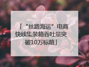 “丝路海运”电商快线集装箱吞吐量突破10万标箱