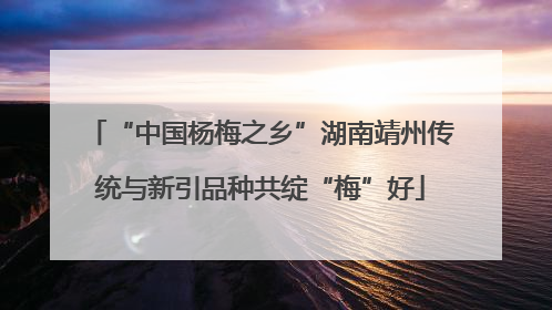 “中国杨梅之乡”湖南靖州传统与新引品种共绽“梅”好