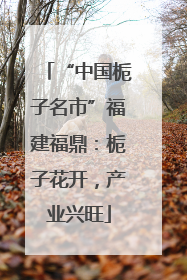“中国栀子名市”福建福鼎：栀子花开，产业兴旺