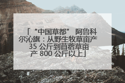 “中国草都” 阿鲁科尔沁旗：从野生牧草亩产 35 公斤到苜蓿草亩产 800 公斤以上
