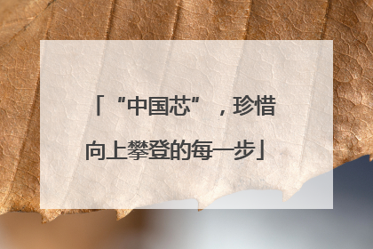 “中国芯”，珍惜向上攀登的每一步