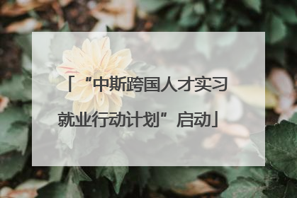 “中斯跨国人才实习就业行动计划”启动