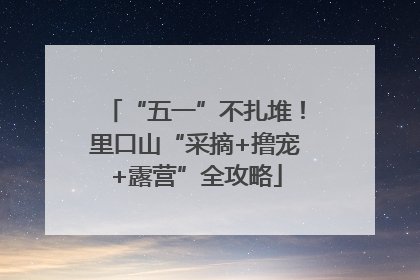 “五一”不扎堆！里口山“采摘+撸宠+露营”全攻略