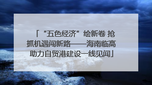 “五色经济”绘新卷 抢抓机遇闯新路——海南临高助力自贸港建设一线见闻