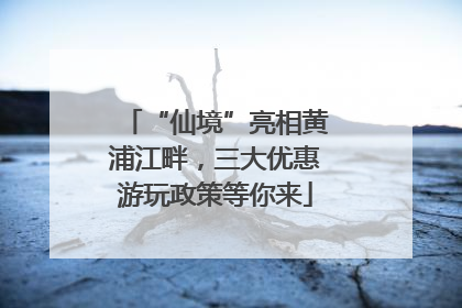 “仙境”亮相黄浦江畔，三大优惠游玩政策等你来