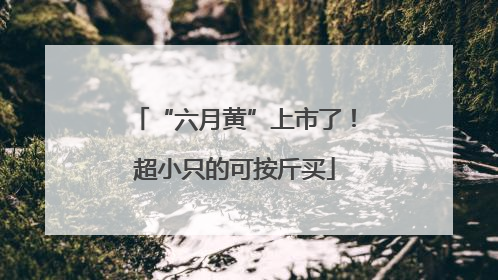 “六月黄”上市了！超小只的可按斤买