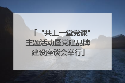 “共上一堂党课”主题活动暨党建品牌建设座谈会举行
