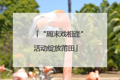 “周末戏相逢”活动绽放莆田