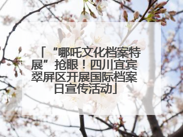 “哪吒文化档案特展”抢眼！四川宜宾翠屏区开展国际档案日宣传活动