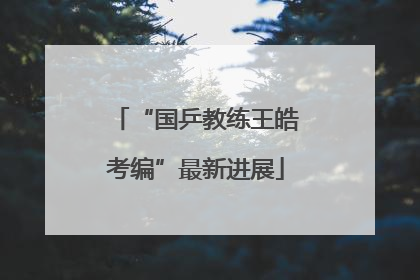 “国乒教练王皓考编”最新进展