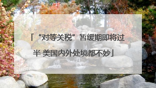 “对等关税”暂缓期即将过半 美国内外处境都不妙