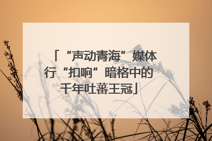 “声动青海”媒体行“扣响”暗格中的千年吐蕃王冠