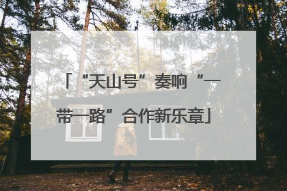 “天山号”奏响“一带一路”合作新乐章
