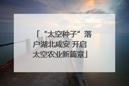 “太空种子”落户湖北咸安 开启太空农业新篇章