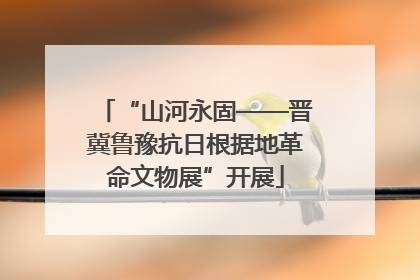 “山河永固——晋冀鲁豫抗日根据地革命文物展”开展
