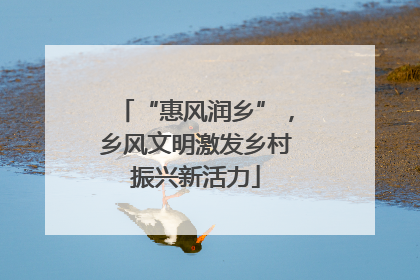 “惠风润乡”，乡风文明激发乡村振兴新活力
