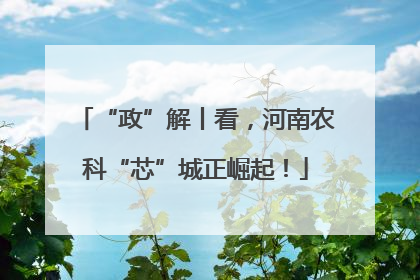 “政”解丨看，河南农科“芯”城正崛起！