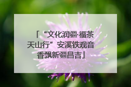 “文化润疆·福茶天山行”安溪铁观音香飘新疆昌吉