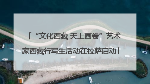 “文化西藏 天上画卷”艺术家西藏行写生活动在拉萨启动
