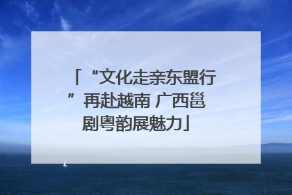 “文化走亲东盟行”再赴越南 广西邕剧粤韵展魅力