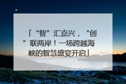 “智”汇嘉兴，“创”联两岸！一场跨越海峡的智慧盛宴开启