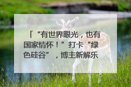 “有世界眼光，也有国家情怀！”打卡“绿色硅谷”，博主新解乐山｜网络名人四川行