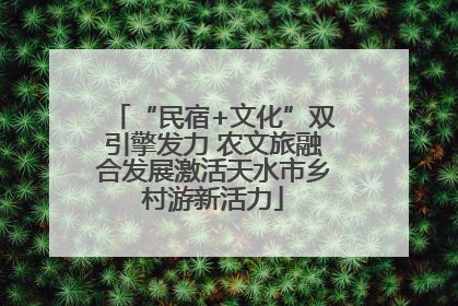 “民宿+文化”双引擎发力 农文旅融合发展激活天水市乡村游新活力