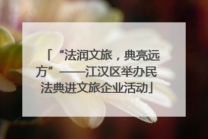 “法润文旅，典亮远方”——江汉区举办民法典进文旅企业活动