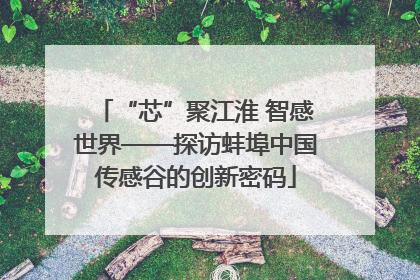 “芯”聚江淮 智感世界——探访蚌埠中国传感谷的创新密码