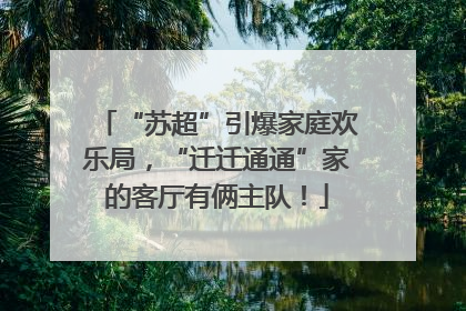 “苏超”引爆家庭欢乐局，“迁迁通通”家的客厅有俩主队！