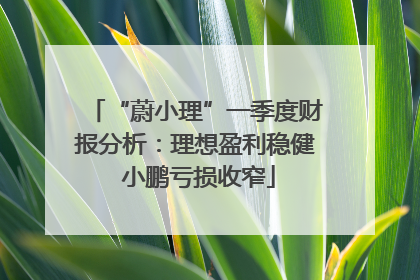 “蔚小理”一季度财报分析：理想盈利稳健 小鹏亏损收窄