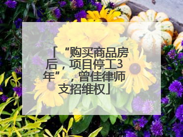 “购买商品房后，项目停工3年”，曾佳律师支招维权