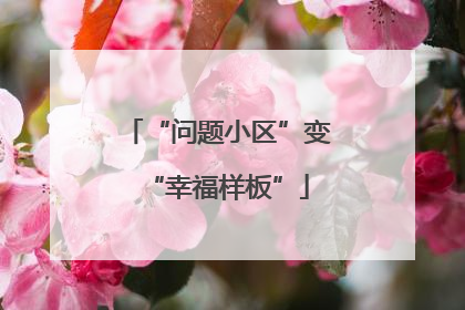 “问题小区”变“幸福样板”