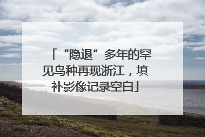 “隐退”多年的罕见鸟种再现浙江，填补影像记录空白