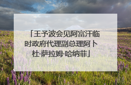 王予波会见阿富汗临时政府代理副总理阿卜杜·萨拉姆·哈纳菲