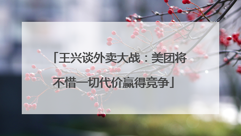 王兴谈外卖大战：美团将不惜一切代价赢得竞争